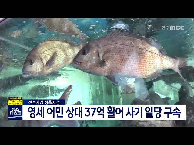 영세 어민 상대 37억 활어 사기 일당 구속