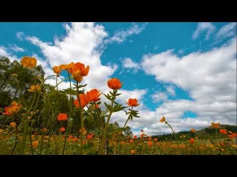 Patrick Patrikios - Broken