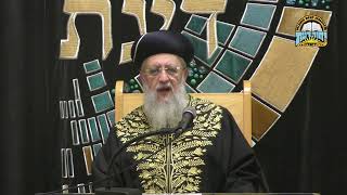 מוצ"ש פרשת בהעלותך בשעה 21:30 - השיעור השבועי של מרן הראשון לציון הגאון רבי דוד יוסף שליט"א (מוסדות יחווה דעת) - התמונה מוצגת ישירות מתוך אתר האינטרנט יוטיוב. זכויות היוצרים בתמונה שייכות ליוצרה. קישור קרדיט למקור התוכן נמצא בתוך דף הסרטון