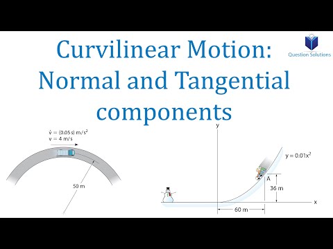 image-What is a curvilinear line?