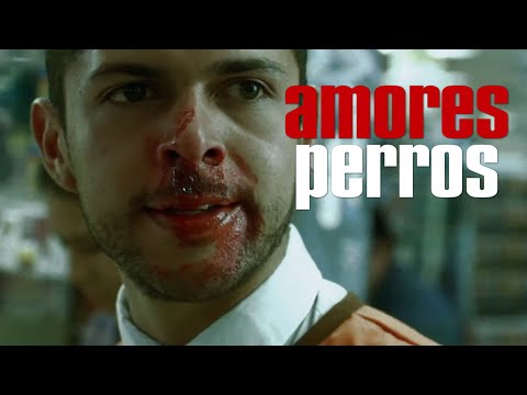 Amores Perros - Tu a mi me la Pelas!