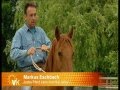 ZDF Beitrag Freies Reiten Mit Markus Eschbach Reiten Ohne Sattel Und Zaumzeug