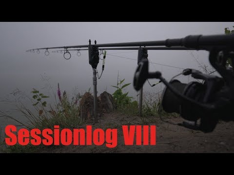 Karpfenangeln im Sommer! #sessionlogVIII