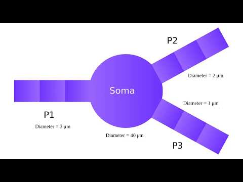 Lesson 06 Hodgkin Huxley Model 1 voltage clamp, action potential, PyHH