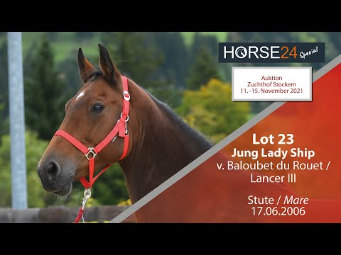 Horse24 Special-Auktion Zuchthof Stockem:Lot 23 Jung Lady Ship Stute v. Baloubet du Rouet-Lancer III