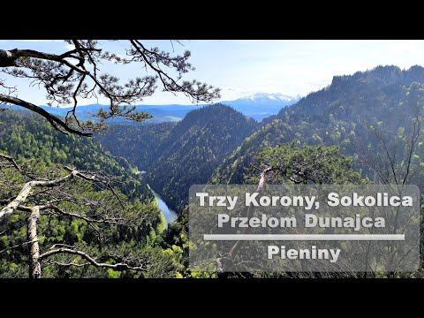 Najpiękniejszy szlak w Pieninach - Trzy Korony, Sokolica i Przełom Dunajca
