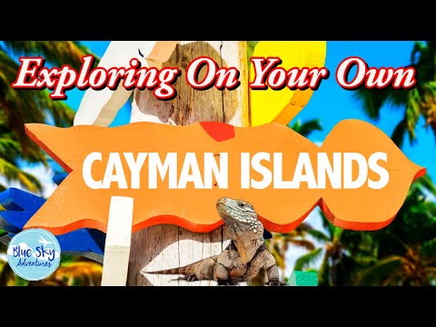 How To Explore Grand Cayman Like A Local And See The Turtles Up Close!