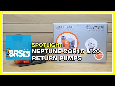 Neptune Systems COR15 and COR20 return pump | BRStv Spotlight