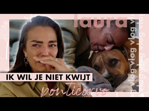 download lagu mp3 mp4 Laura Ponticorvo, download mp3 Laura Ponticorvo free download, download mp3 Laura Ponticorvo