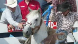preview picture of video 'Horses Shocked at Pendleton Rodeo'