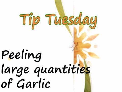ヒント火曜日～大量のニンニクの皮をむく／カレーを見せてくれ (Tip Tuesday - Peeling Garlic in Large Quantities / Show Me the Curry)
