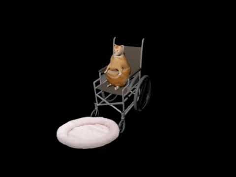 many fall in the face of chaos