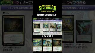 【MTG】ストリクスヘイヴンの秘密　リミテッド攻略　ウィザーブルーム #mtg #ストリクスヘイヴンの秘密  #リミテッド