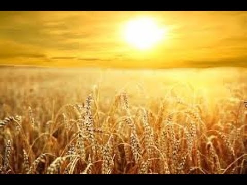 download lagu mp3 mp4 Psalm Maria, download mp3 Psalm Maria free downloadn, video klip Psalm Maria