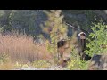 Ben Cosgrove - "Landfall" (live at Essex Quarry, NY 10/19/24)