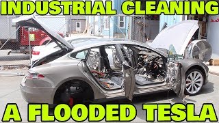 Industrial Cleaning My Moldy Tesla