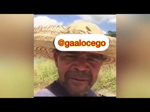 Galo cego e a história do caba fei!😂 #tbt