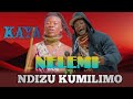 NELEMI MBASANDO FT NDIZU KUMILIMO GUSHOKA KAYA OFFICIAL AUDIO