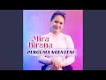 Percuma Ngenteni