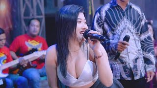 Download lagu JAMBU ALAS - DINI ELSIA - OM REVATA LIVE PORONG | SADEGA  - BUSRO AUDIO PAMOTAN mp3