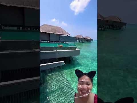 @juliagal_ Ayo sayang sini berenang yuk #dubbingvideo #shorts #shortvideo #funny