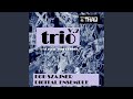 Audio_063 trio