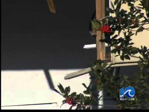 Thieves drive truck into gun shop