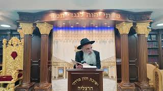 הרב מאיר דוד שמואלי - האוצר היומי סדר רס"א