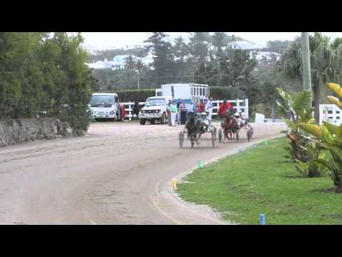 Harness Pony Racing Bermuda February 11 2012