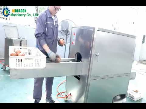 BIDRAGON Automatic Onion Peeling and Top Tail Cutting Machine