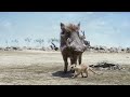 Peter Rabbit And Friends Thomas And Friends The Island Song