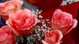 Chris Norman Broken Heroes Lyrics YouTube