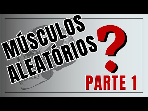 MÚSCULOS ALEATÓRIOS - PARTE 1 - Corpo Quiz