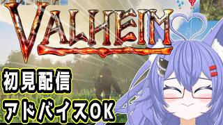 【Valheim】ガチ初見ヴァルヘイムでラグナロクでコクーンでルシする #7 #Vtuber #Valheim