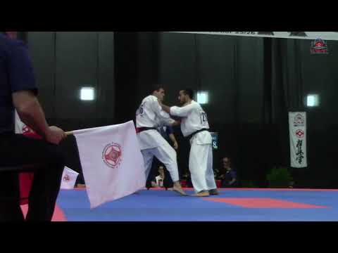 33nd KWF Kyokushin karate European championship - Vukan Roganovic final fight