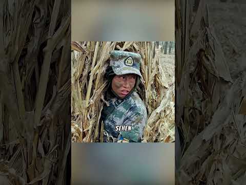 Das unerwartetste Versteck