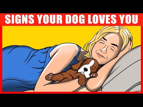 14 Signs Your Dog REALLY Loves You, Confirmed by Science