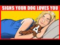 14 Signs Your Dog REALLY Loves You, Confirmed by Science