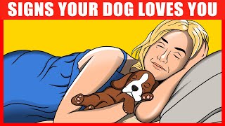 14 Signs Your Dog REALLY Loves You, Confirmed by Science