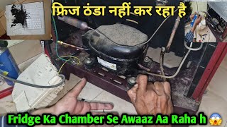 Single Door Refrigerator Not Cooling - Fridge is Not Cooling What is the Problem