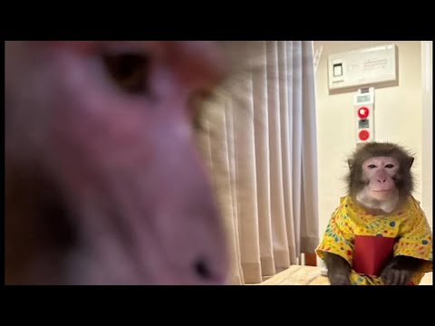 McNasty's First Song and Bands