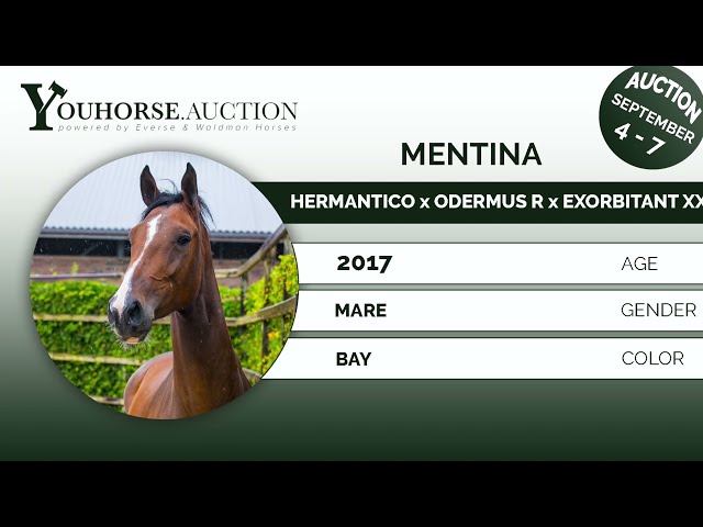 Mentina