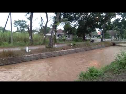 SETTING RX KING MAGNET KIMCIL