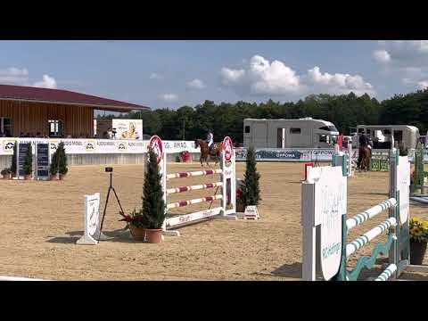 FAN DE LAURE (6yo Quickly de Kreisker) 09.21 Ranshofen - 1. Platz Youngster 125 cm