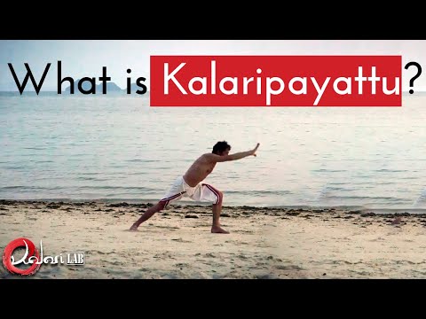 What is Kalaripayattu 🥋 - KalariLAB - Centre of training in Kalaripayattu and Kalari Chikitsa