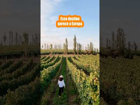 Conheça o Vale dos Vinhedos na Serra Gaúcha! 🍇 #serragaucha #valedosvinhedos #bentogoncalves