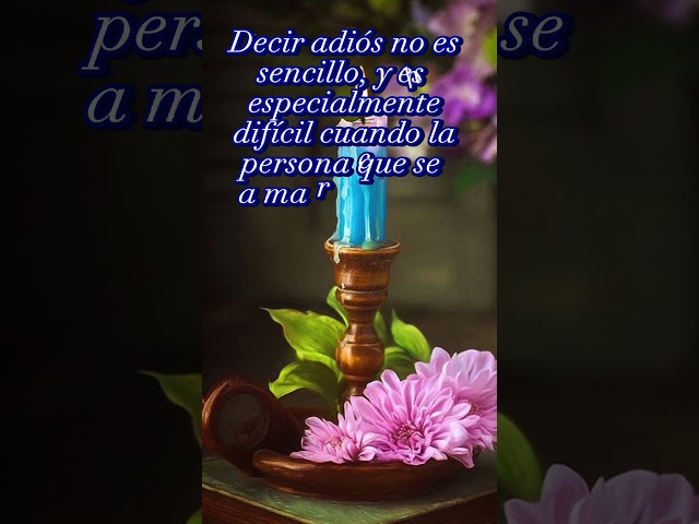 Vídeo relacionado con Piccadilly Greetings Tarjeta de condolencias clásica - 8 x 6 - Regal Publishing