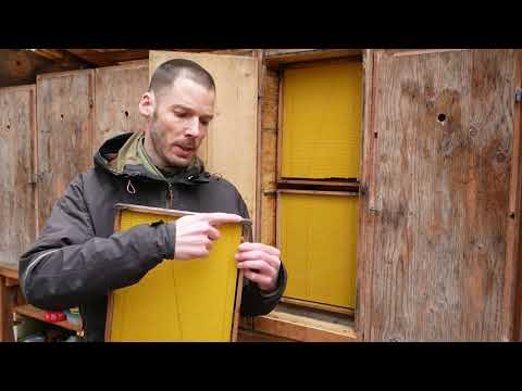 Imker-Tipp für Einsteiger: Wahl der Beute