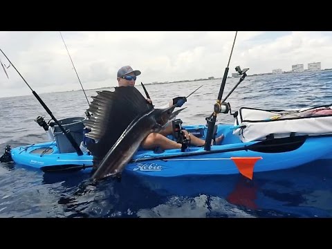 Kayak Fishing for Sailfish and Bonito