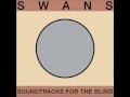 Swans - Surrogate Drone